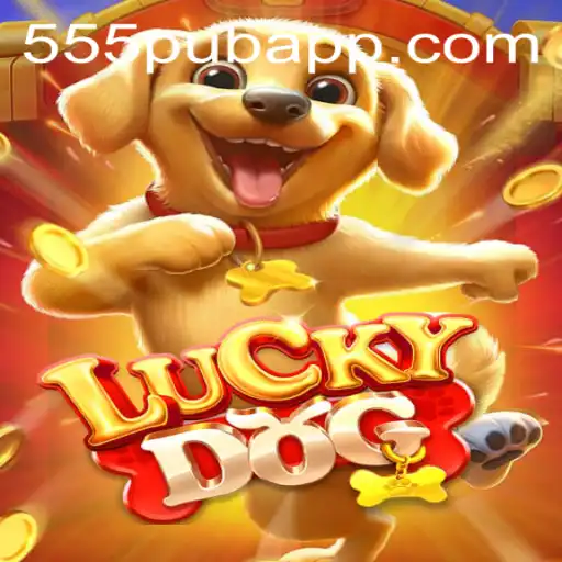 Discover the Excitement of LuckyDog: The 555pub Phenomenon